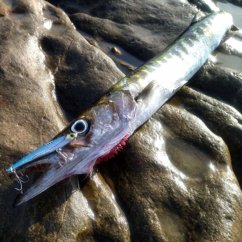 GOBAIT VIB Balıkçılık Cazibesi - Fishing Lure Blade Bait incelemesi ve fiyatı