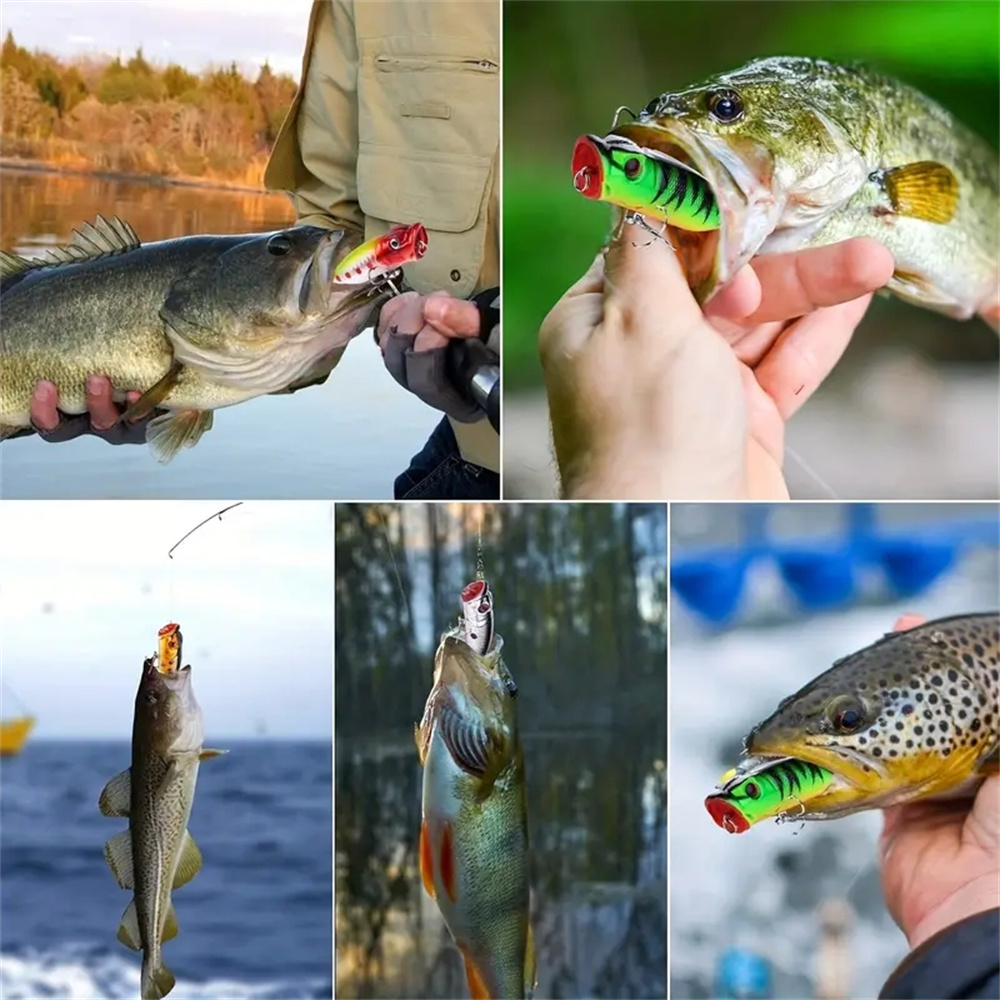 5 Adet Popper Balıkçılık Lures - Fishing Lure Popper incelemesi ve fiyatı